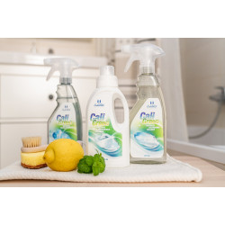 CaliGreen Natural Glass Cleaner, 500 ml