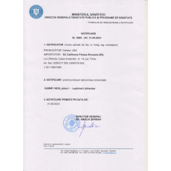 Gummy Kids, 100 jeleuri