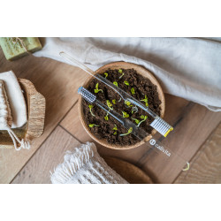 OrganiCare Toothbrush (yellow) OrganiCare Toothbrush (yellow)