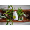 White Willow, 100 capsule White Willow, 100 capsule
